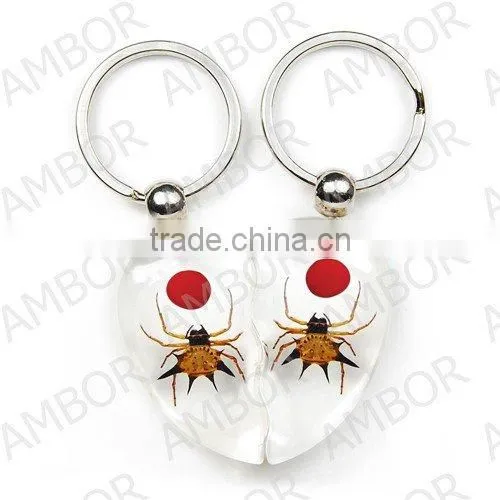 wholesale real flower and insect keychain promotional