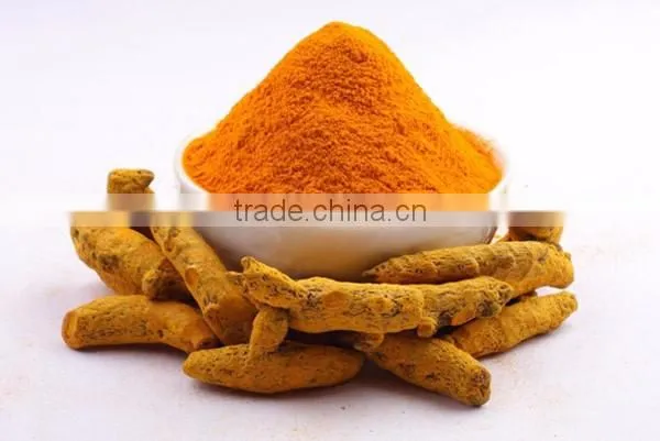 Purest Turmeric Powder Bulk Producers