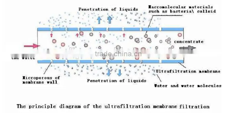 Ultrafiltration System Pure Water Treatment Machine With RO System