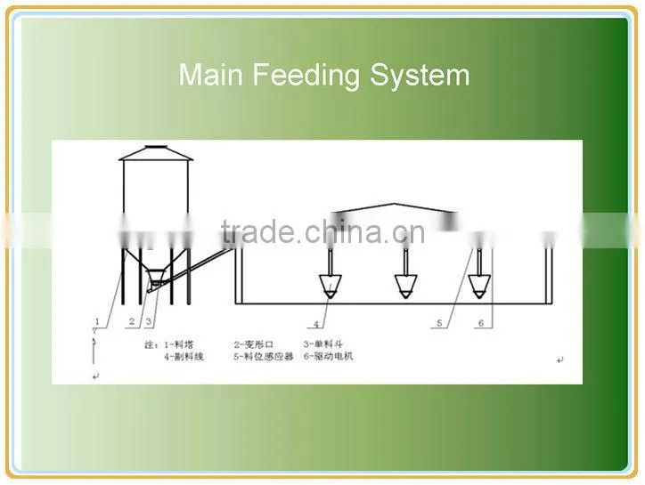 chicken poultry farm equipment