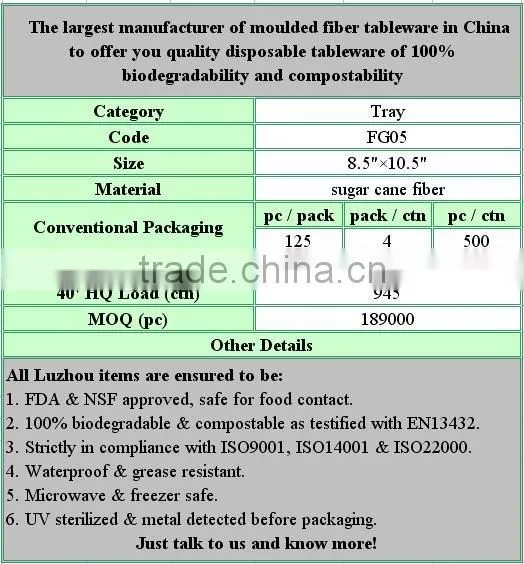 Christmas Kitchen Dinner Biodegradable Green compostable Mold Pulp Trays For Food