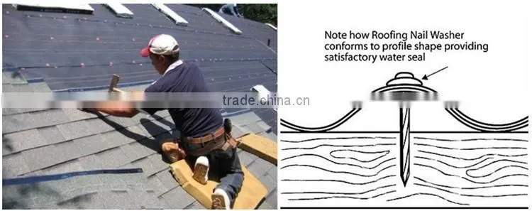 China building material dubai and arabic screw roofing nail with washer
