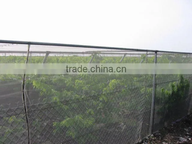 HDPE transparent agricultural anti insect net/insect repellent net