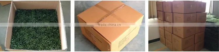 wholesale artificial plastic garden boxwood hedge plants