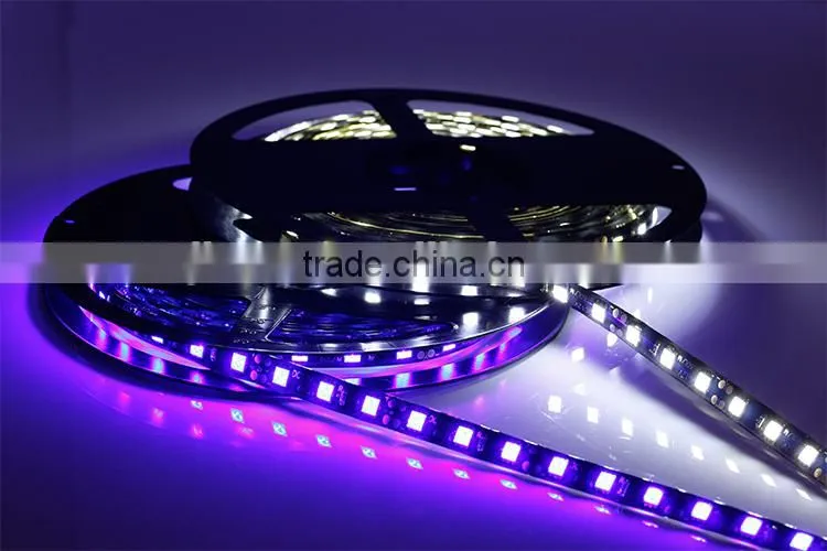 Good Quality 12V Flexible LED Strip Light 5050 LED Lighting Waterproof IP65 Strips Lights Black PCB