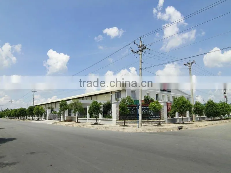 6A1 Cat Tuong Insulation Material with big bubble air and aluminium foil reflective from Vietnam