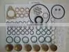 Fuel Injection Pump Repair Kit 800637