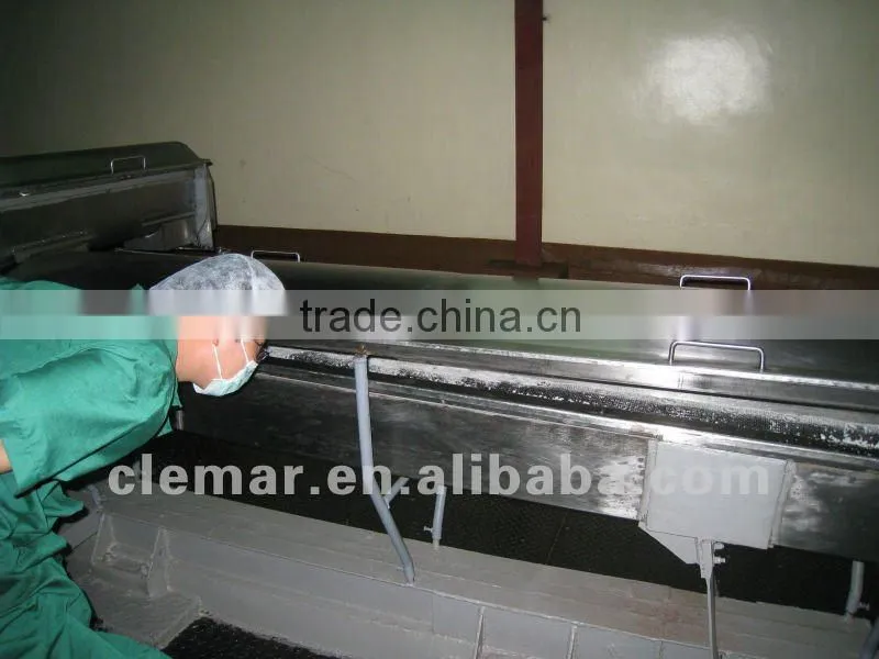 pineapple belt dryer/ apple belt dryer/ carrot belt dryer/ onion belt dryer