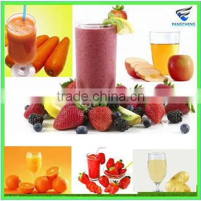 FC-0.5 Stainless Steel Automatic Electric Mango Juice Machine