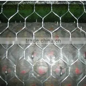 Roll Hexagonal Chicken Wire (Anping factory)