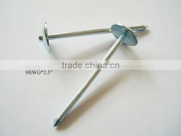 galvanized roofing nail umbrella head
