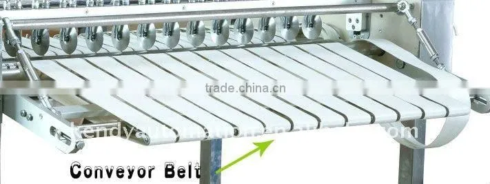 Automatic crispy dumpiling making machine for biscuit factory