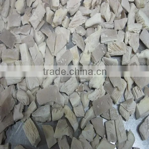 IQF frozen oyster mushroom cubes