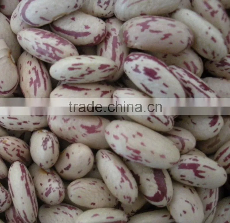 Light Speckled Kidney Beans Long Shape (Heilongjiang)