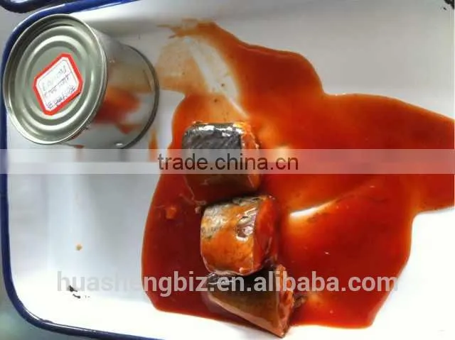 Canned Mackerel In Tomato Sauce with HACCP,ISO