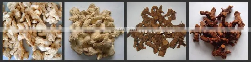 Arabica green coffee beans
