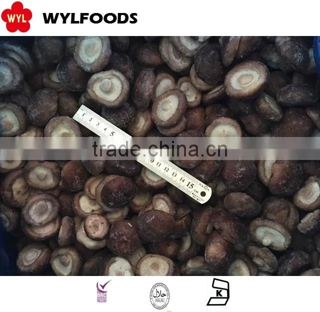 supply shiitake mushroom whole Frozen IQF in China market