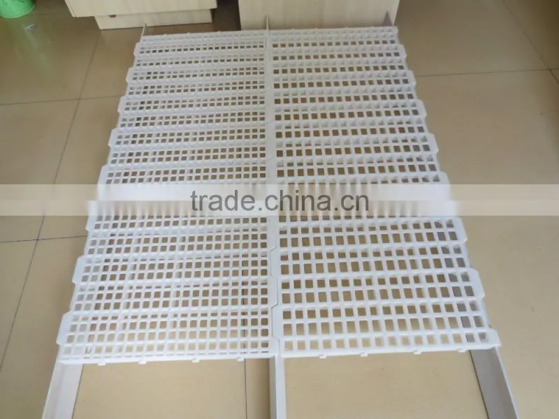 Russia best selling plastic slat for duck goose poultry