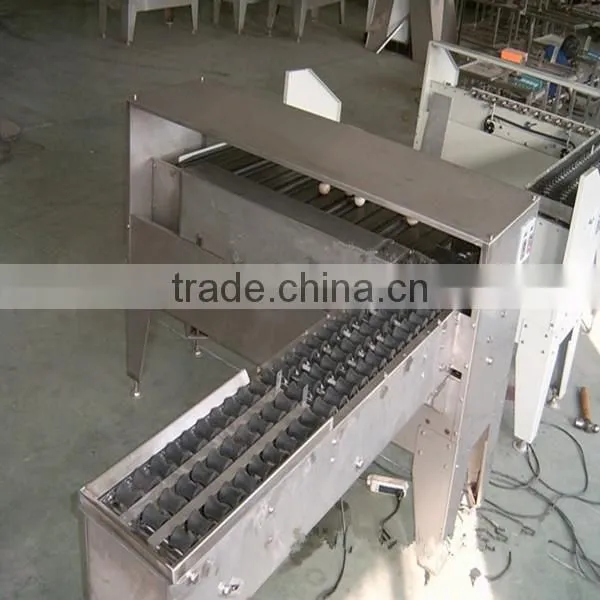 3 Rows 5 Grades Automatic Egg Grading Machine