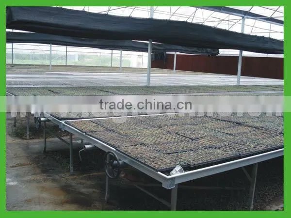 multi span green house from big greenhouse manufacturer in China