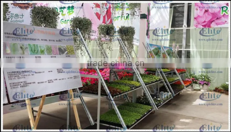 Garden Center Display Flower Trolley for Bracketplant