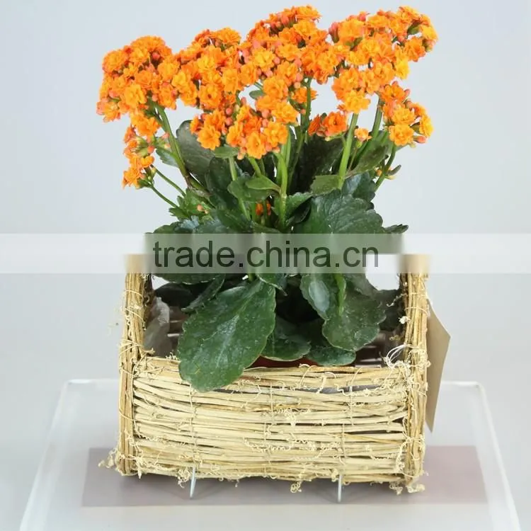 Handmade Nature Rattan Flower Planting Pots