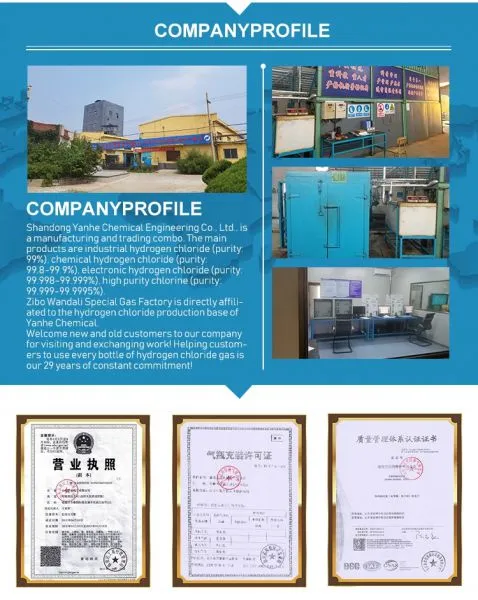 Zibo Dijia Special Gas Co., Ltd. company overview - view 1