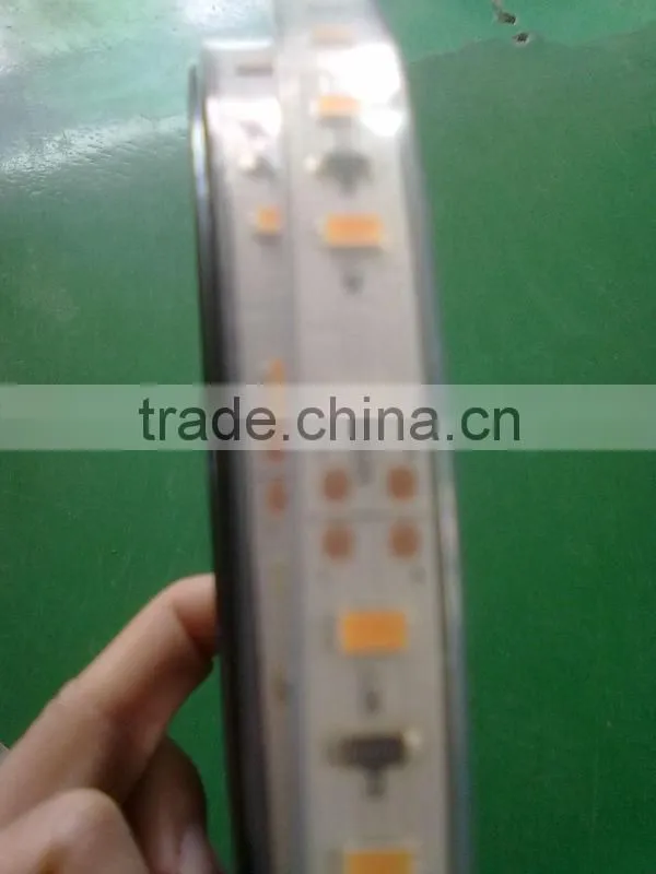 60led/m strip led 5630 led strip IP67 led strip offers