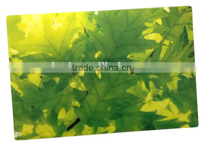 Cheap 3d kids plastic placemats