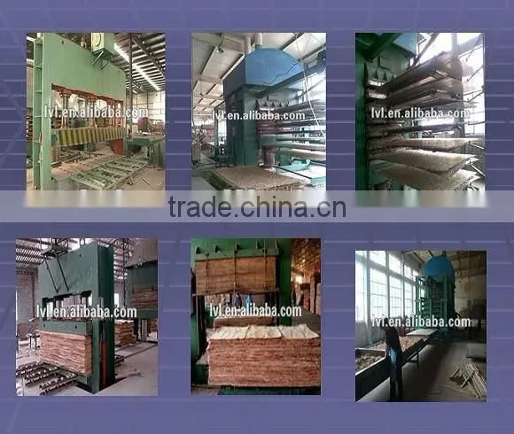 4*8 OSB with good quality (osb boards )