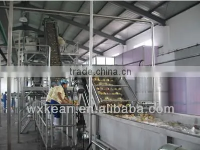 Automatic fruit washing machine manufactured in Wuxi Kaae with ISO and CE
