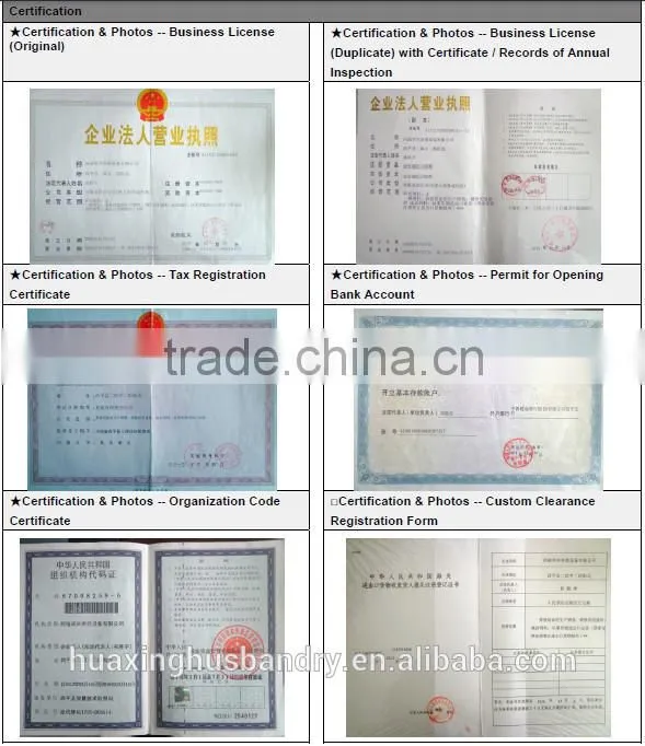 High quality commercial chicken cages/cheap folding cage/rabbit cage