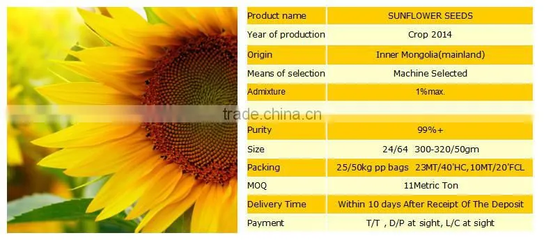 Chinese sunflower seeds 2015 New Crop