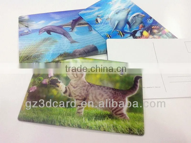 Best seller lenticular 3d postcards of dolphin