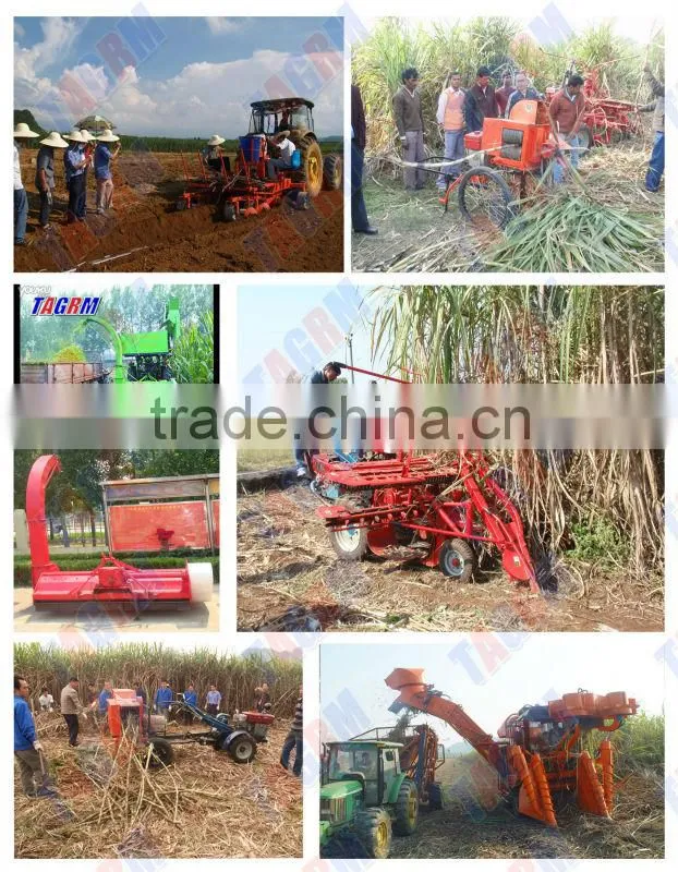 Small agricultural cane leaf remover 6BZ-15 new sugar cane leaf cutting machine