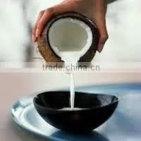 instant coconut milk powder