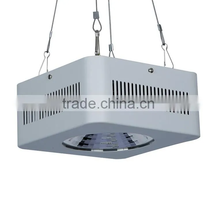 Shenzhen Lamp Manufactory Super Performance High Power 10W 50W 100W 200W 300W 500W 1000W 2000W 120W COB LED Plant Grow Light