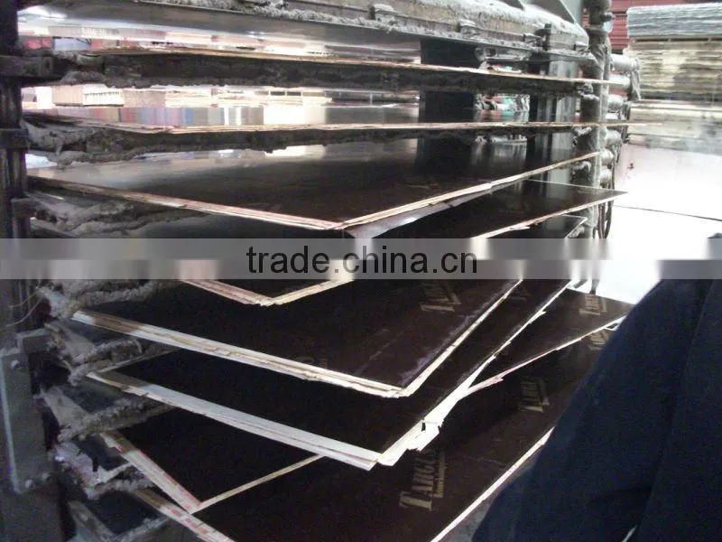 shuttering plywood sheet