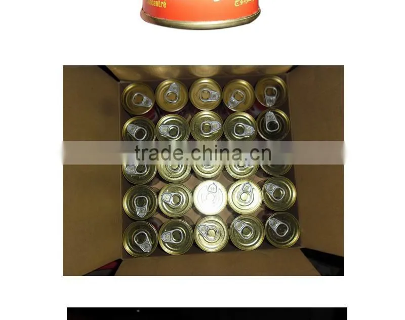 Tomato paste with tin packing in 140gX25tins