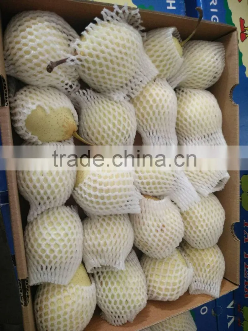 china seasonal fruit asian pear