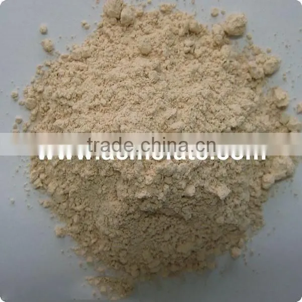 Dried Garlic Flake