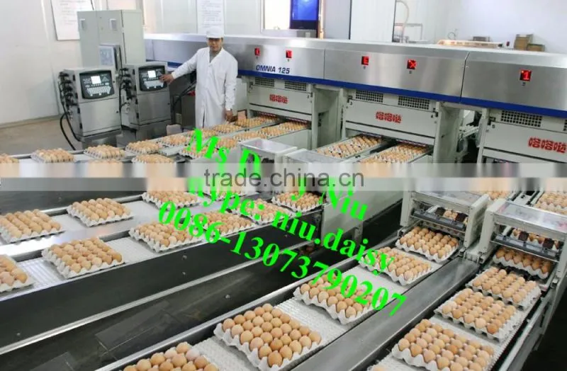 automatic egg weighing grading machine/egg grading packing machine/egg grader for packing
