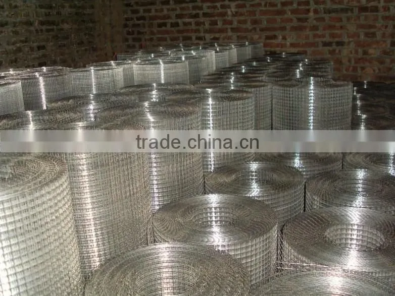 electro-galvanized 1/2 inch mesh welded wire mesh for construction