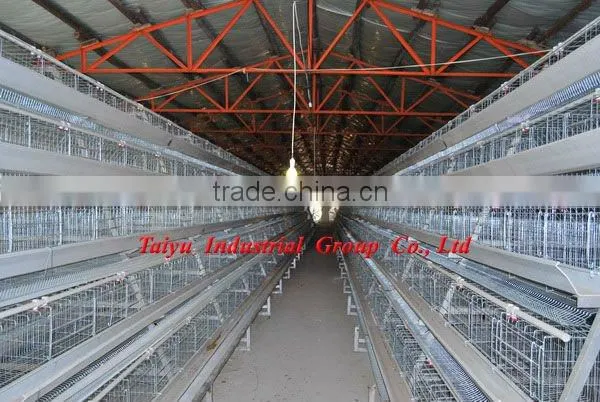egg layers cage design