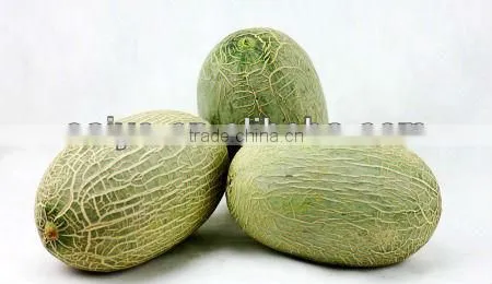 new design stainless steel sweet melon peeler