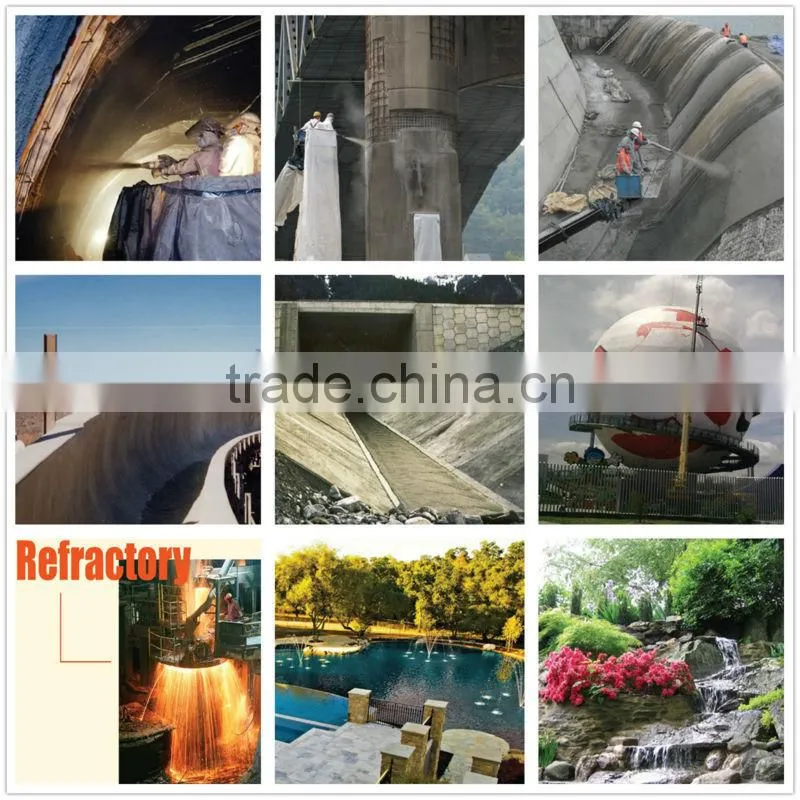 GEC Brand Various Types of Customized Construction Gunite Shotcrete Machine for Sale