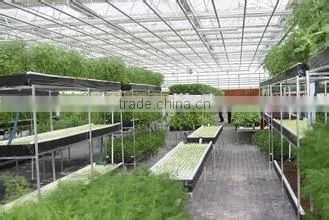 In steel structure of glass was outside shading ecological greenhouse