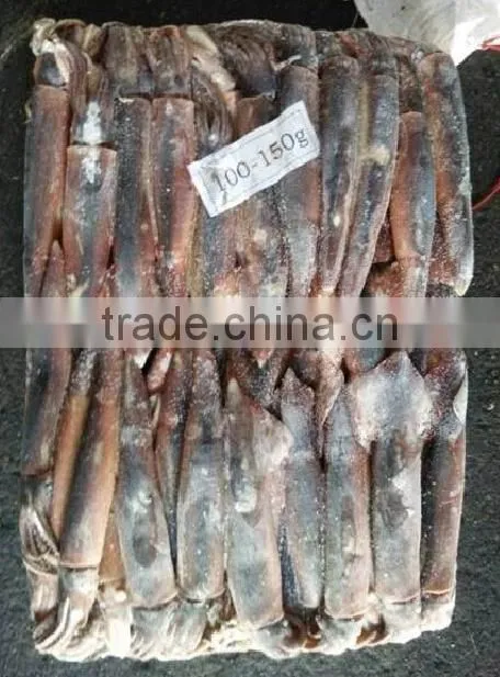 Frozen argentina squid