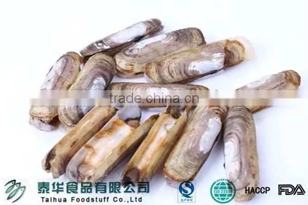 Whole Round Frozen Razor Clam Shellfish with Shell Chinese Supplier