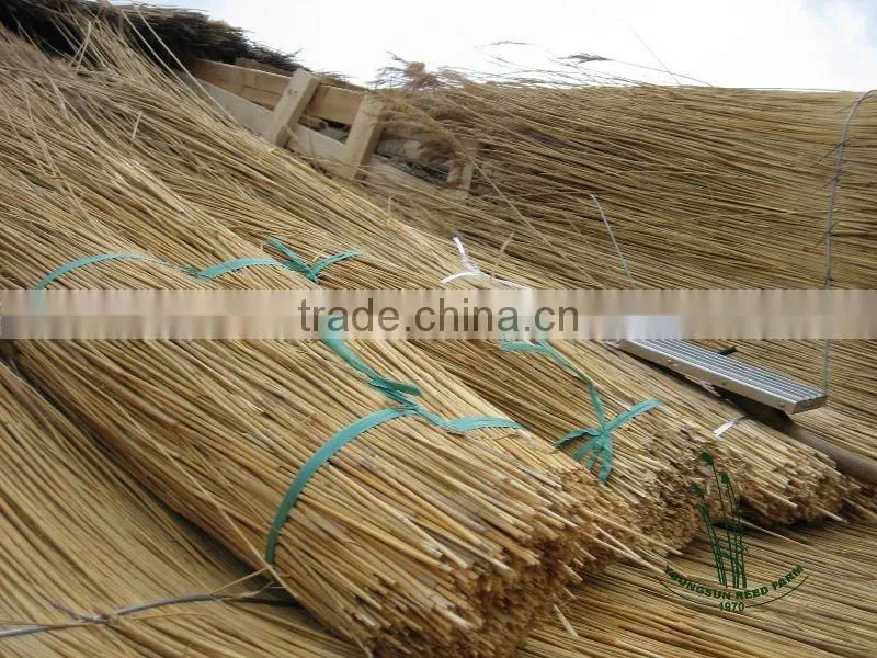 thatching reed bundles